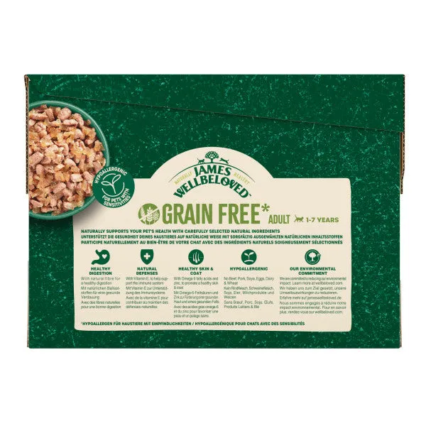 Adult Salmon in Jelly Grain Free Wet Cat Food Pouches