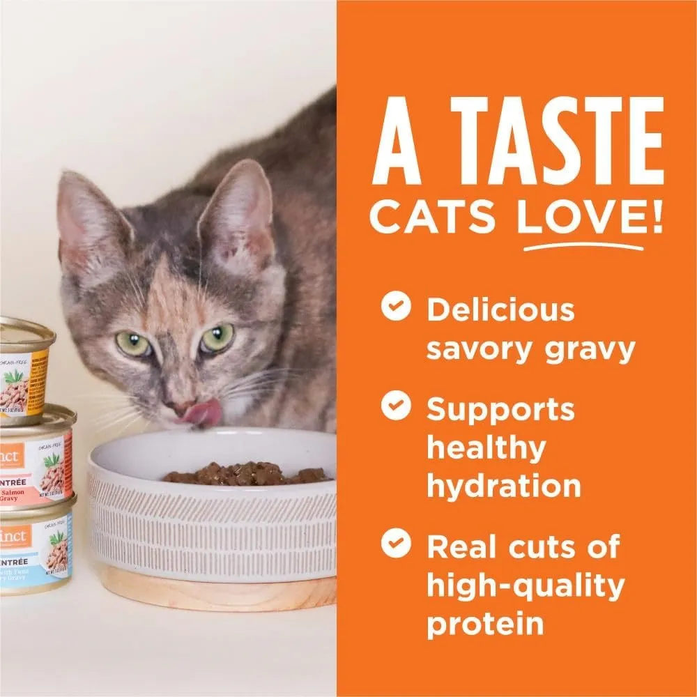 All Life Stages Grain-Free Flaked Tuna Entree Cat Can