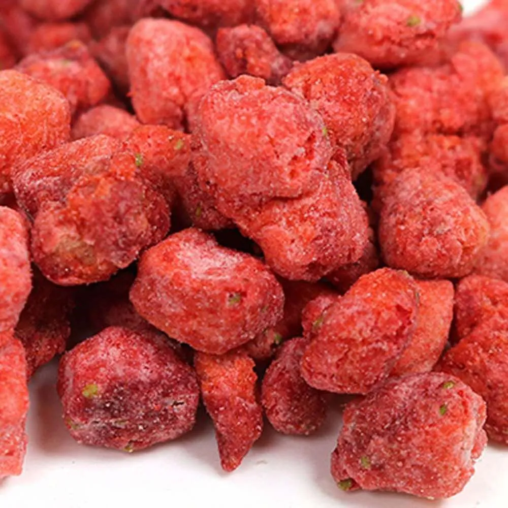 Animan Freeze Dried Strawberry Bits Small Animal Treats 10g