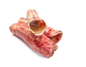 Barkin Bistro Raw Beef Trachea