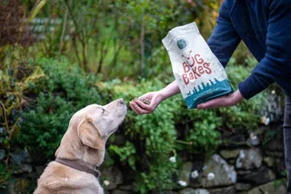 Bug Bakes Grain Free - Natural Insect Dog Food