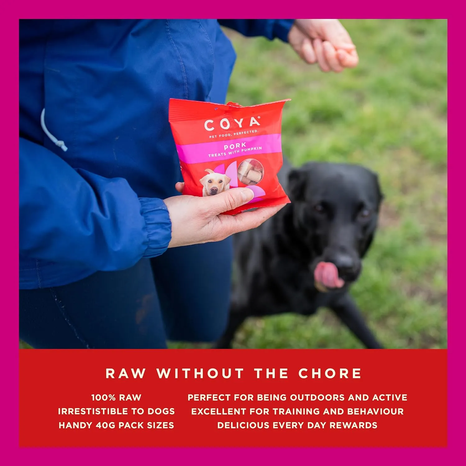 Coya Freeze Dried Dog Treats