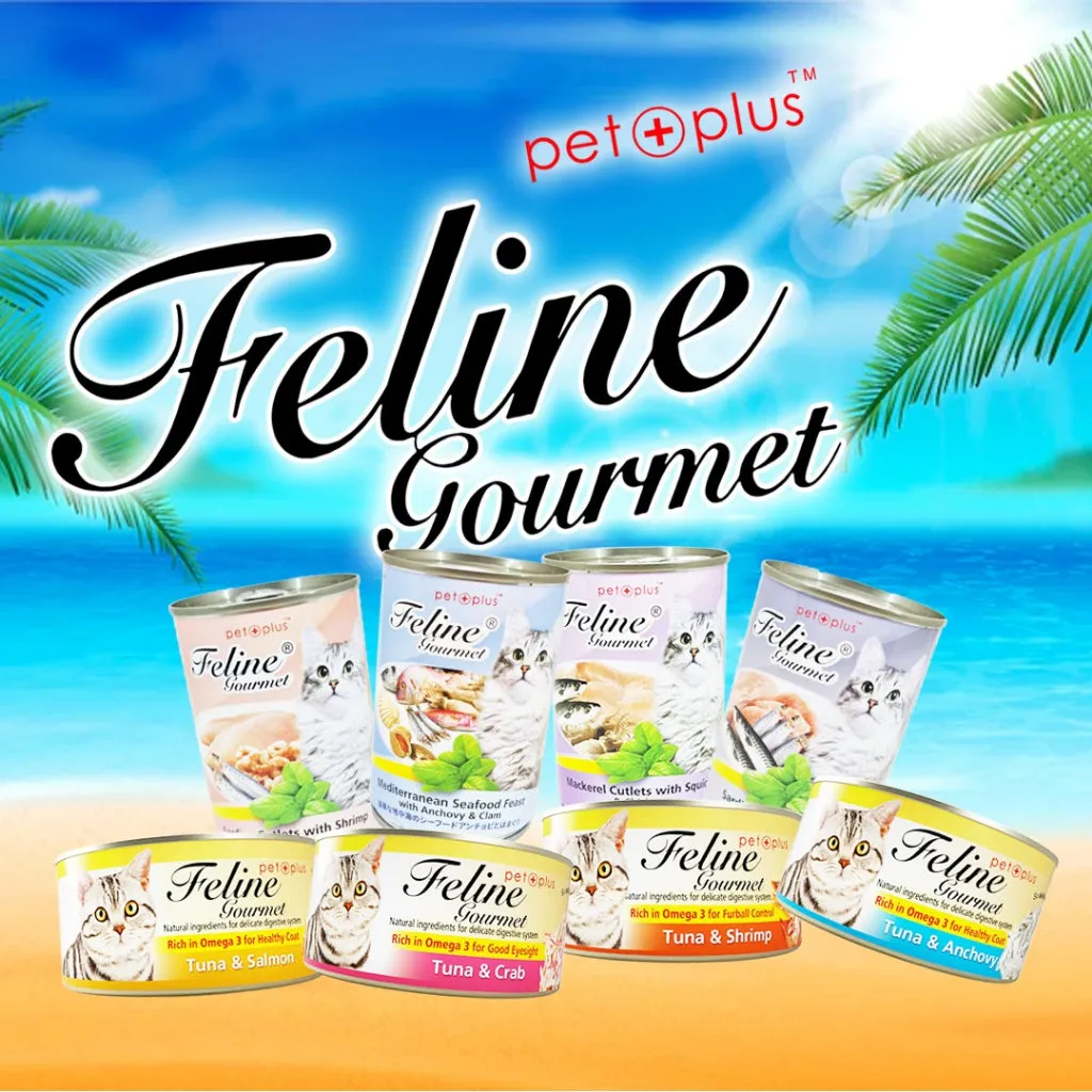 Feline Gourmet Wet Cat Food in Can 80g for Adult/Kitten Rich in Omega 3