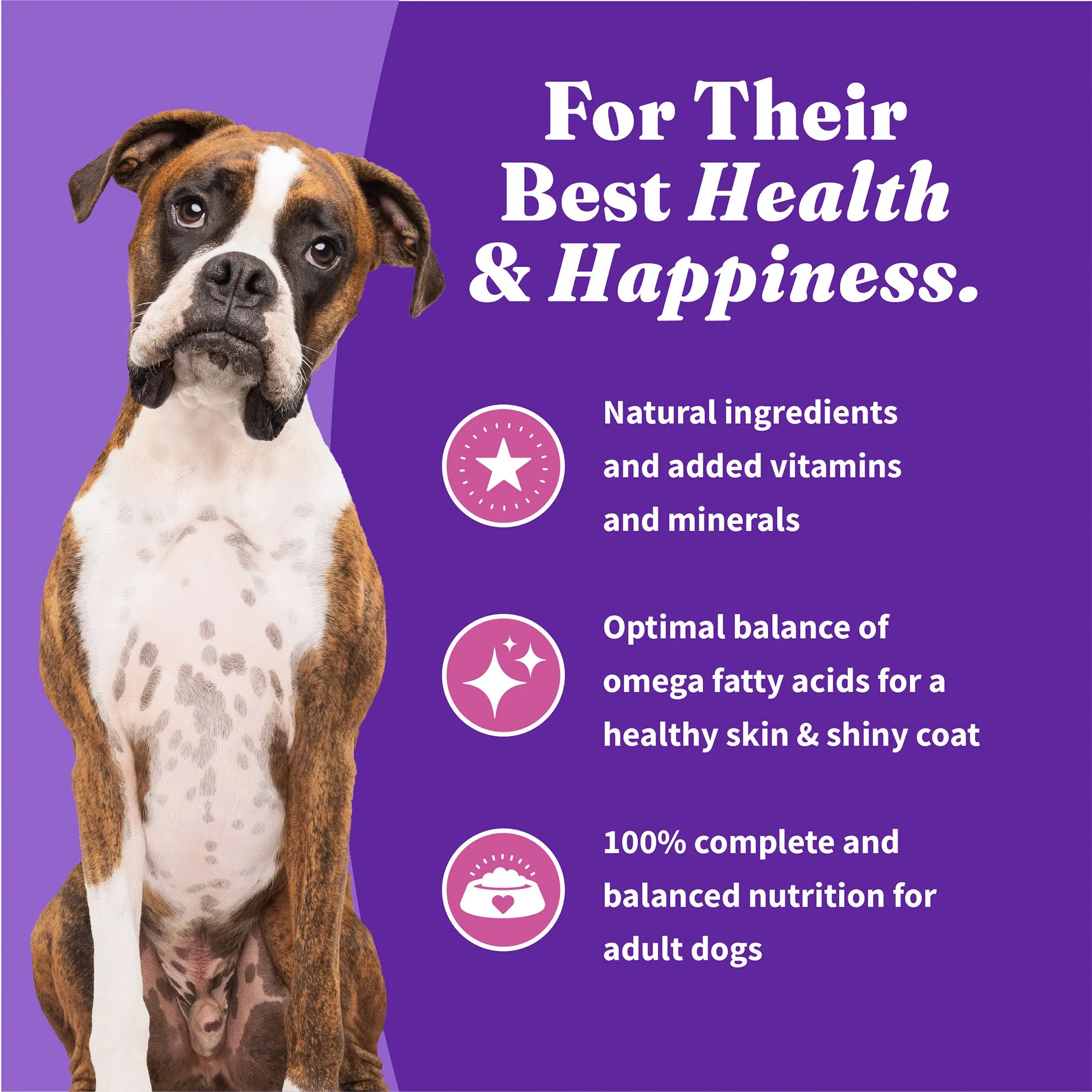 Holistic Healthy Weight Support Grain Free Cage-Free Turkey & Sweet Potato Recipe Adult Dry Dog Food