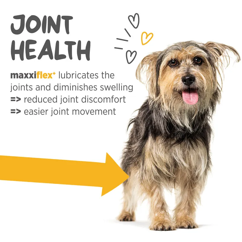 Maxxipaws Maxxiflex  (Joint) Supplements for Dogs