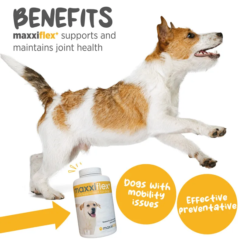 Maxxipaws Maxxiflex  (Joint) Supplements for Dogs