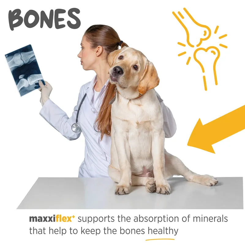 Maxxipaws Maxxiflex  (Joint) Supplements for Dogs