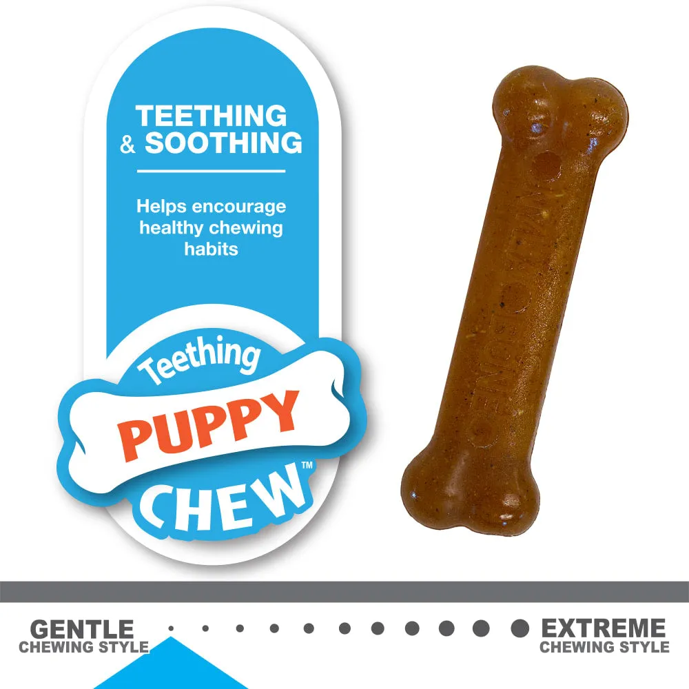 Nylabone Puppy Bone Variety Dog Toys Petite 2 Pack^^^