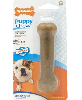 Nylabone Puppybone Teething Chew Toy-Regular