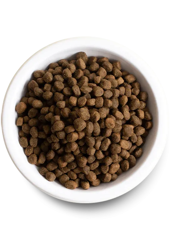 Open Farm Catch-of-the-Season Whitefish & Ancient Grains, Dry Dog Food