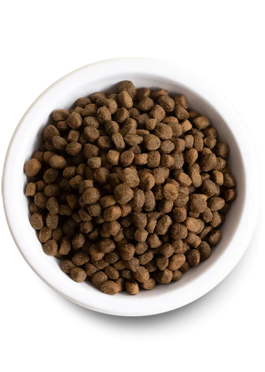 Open Farm Pasture-Raised Lamb & Ancient Grains Dry Dog Food