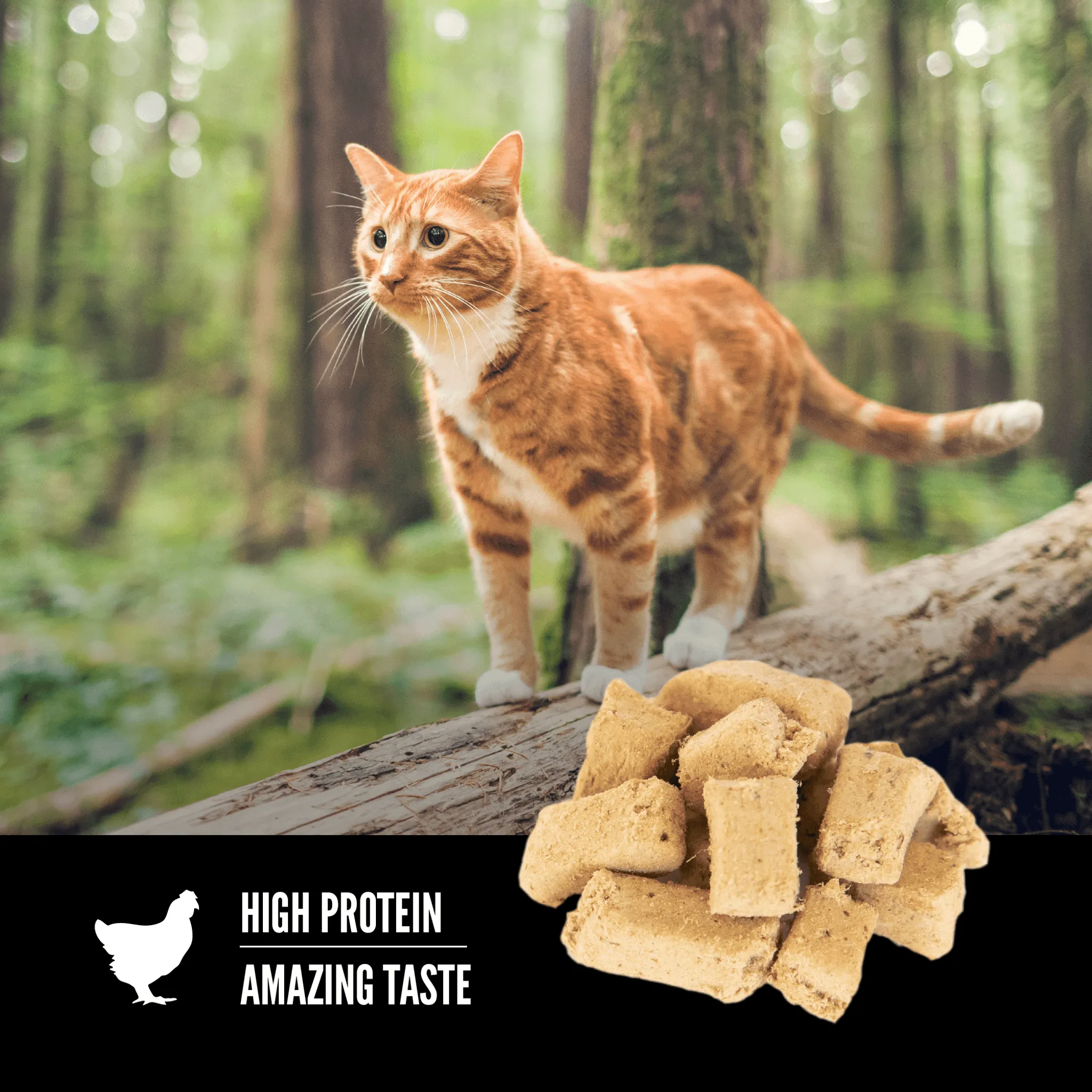 Orijen Freeze-Dried Cat Treats Original