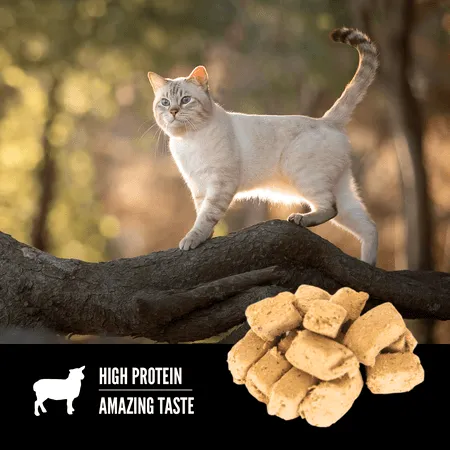 Orijen - Lamb Recipe Freeze-Dried Treats (For Cats)