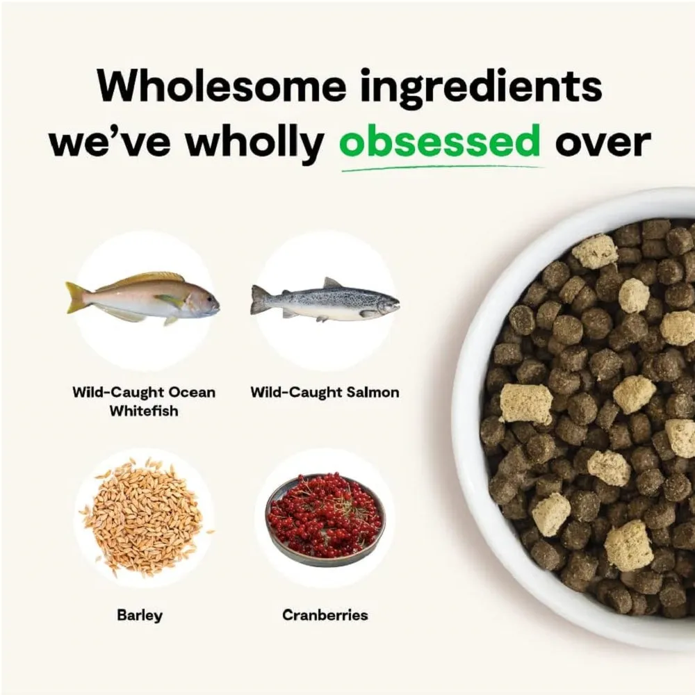 RawMix Wild Ocean Whole Grain Dog Kibble