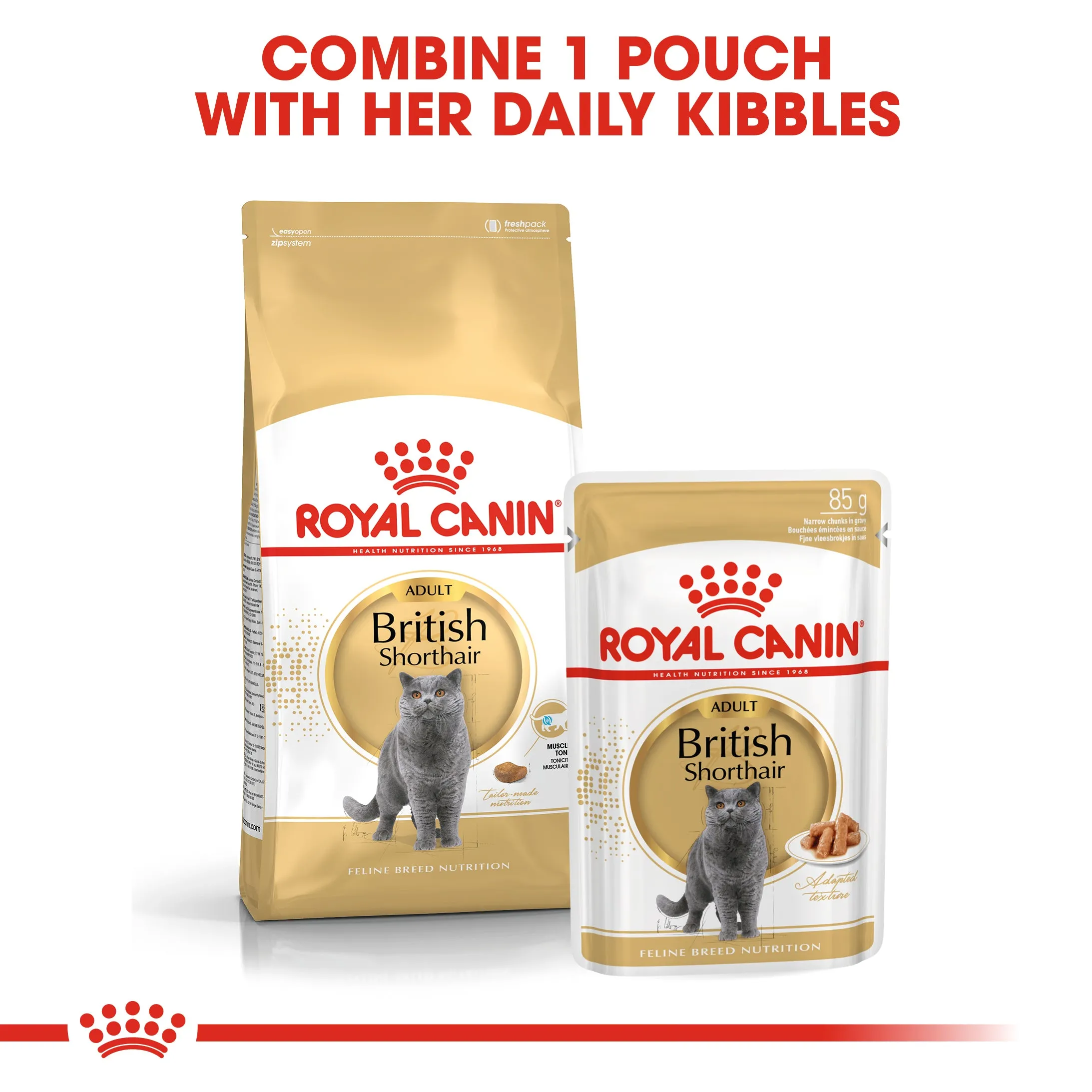 Royal Canin British Shorthair