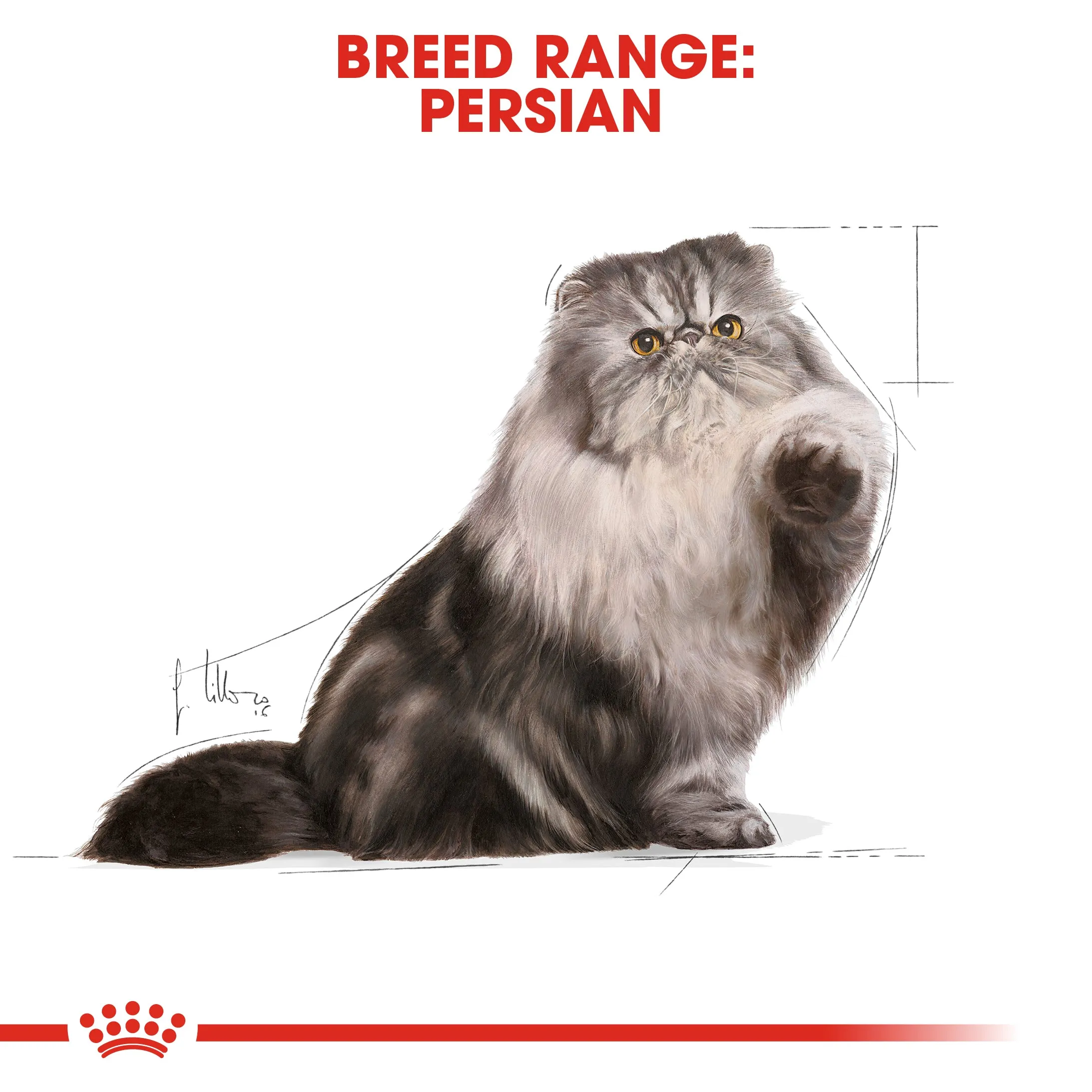 Royal Canin Cat Pouch - Persian