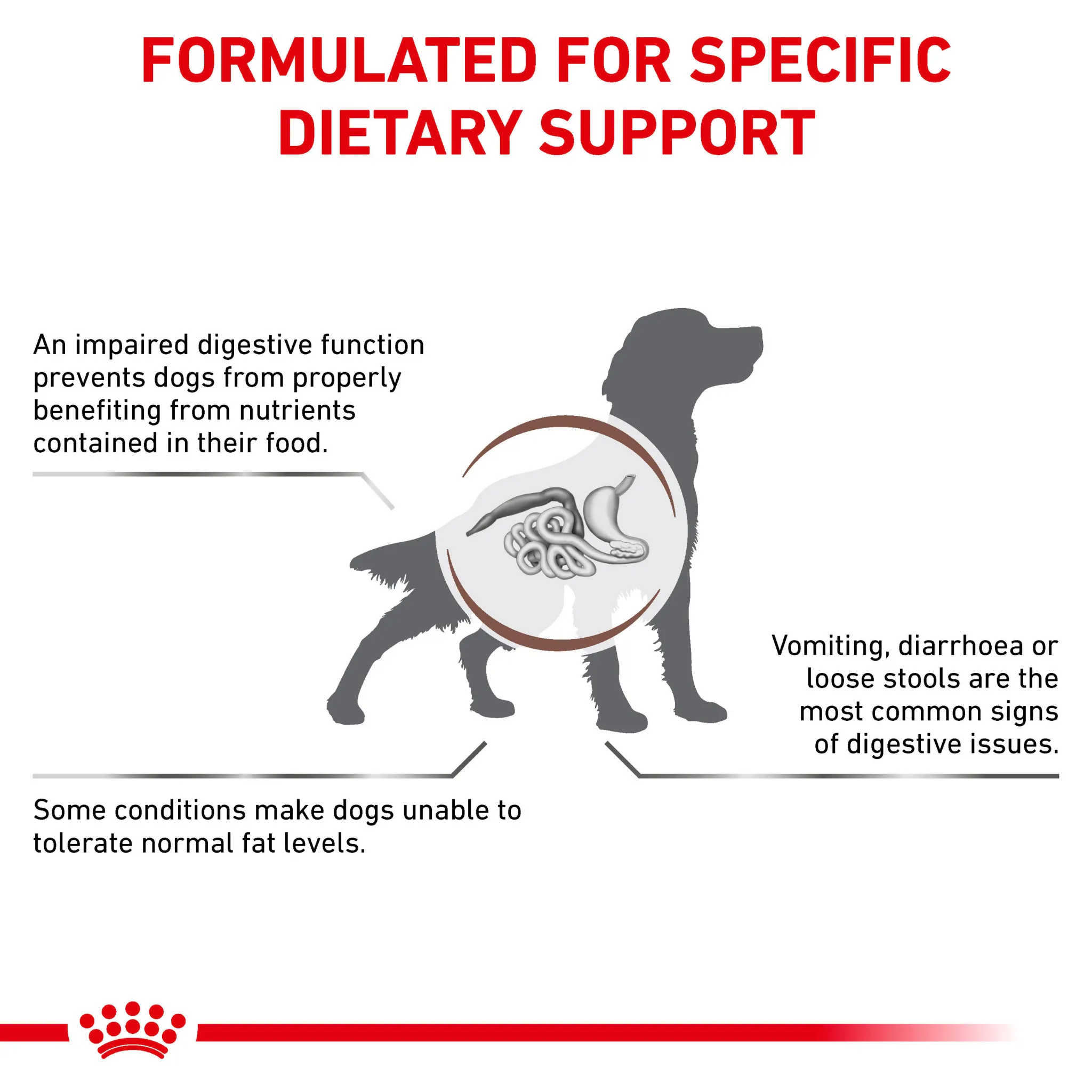 ROYAL CANIN® Gastrointestinal Low Fat Adult Dry Dog Food