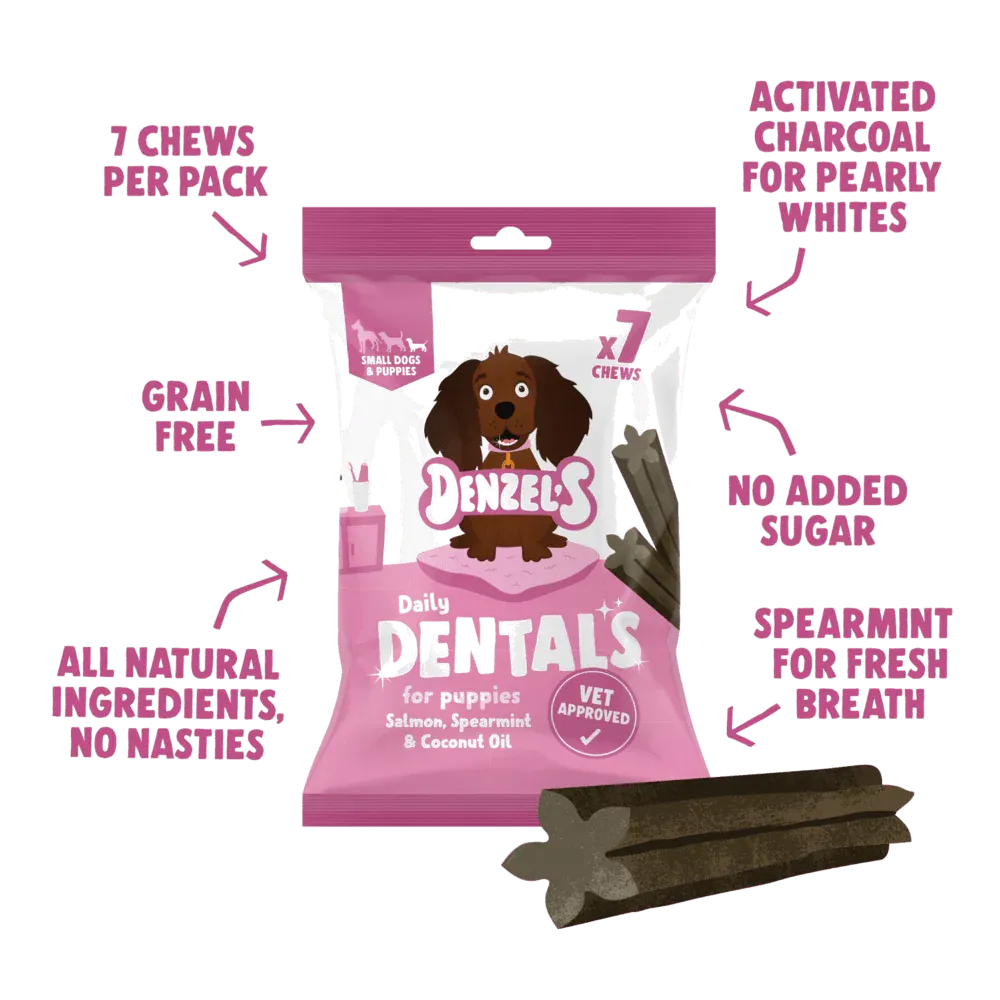 Salmon, Spearmint & Coconut Oil Daily Dentals for Small Dogs/Puppies