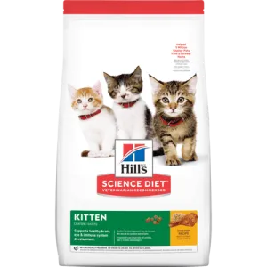 Science Diet Kitten Chicken Recipe Dry Cat Food