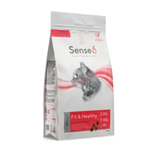 Sense6 Cat  - Adult - Fit & Healthy