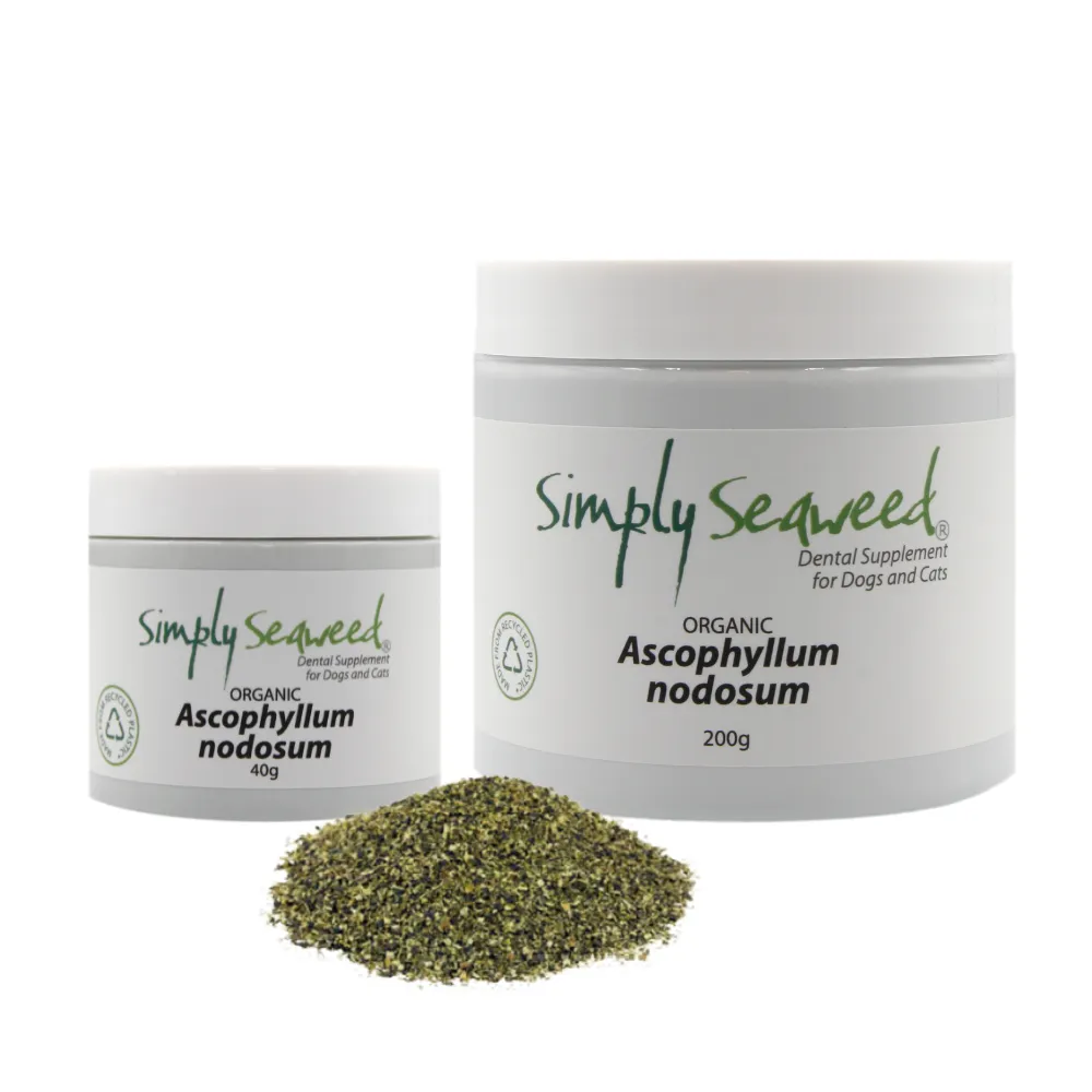 Simply Seaweed 40g | Natural Dental Care for Dogs & Cats