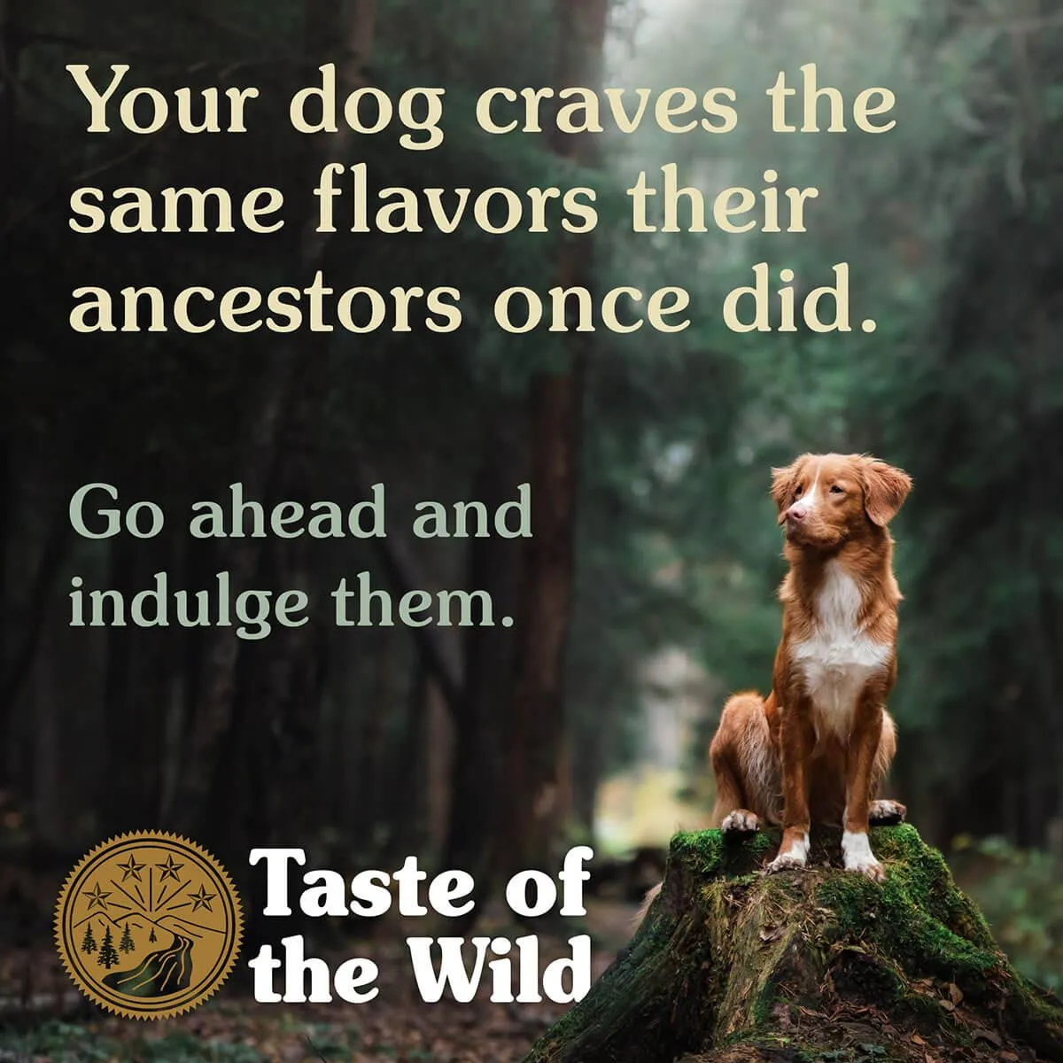 Taste of the Wild Pacific Stream Smoked Salmon Dry Dog Food